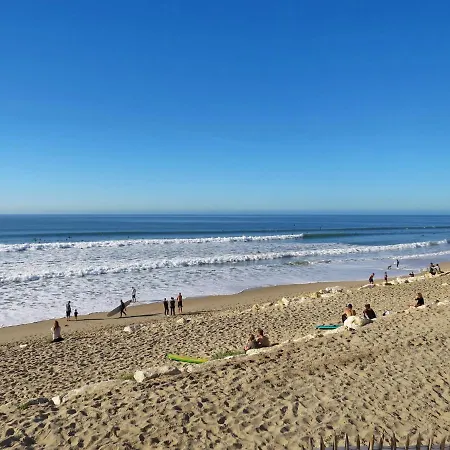 Les Palombes-7 By Interhome Lacanau